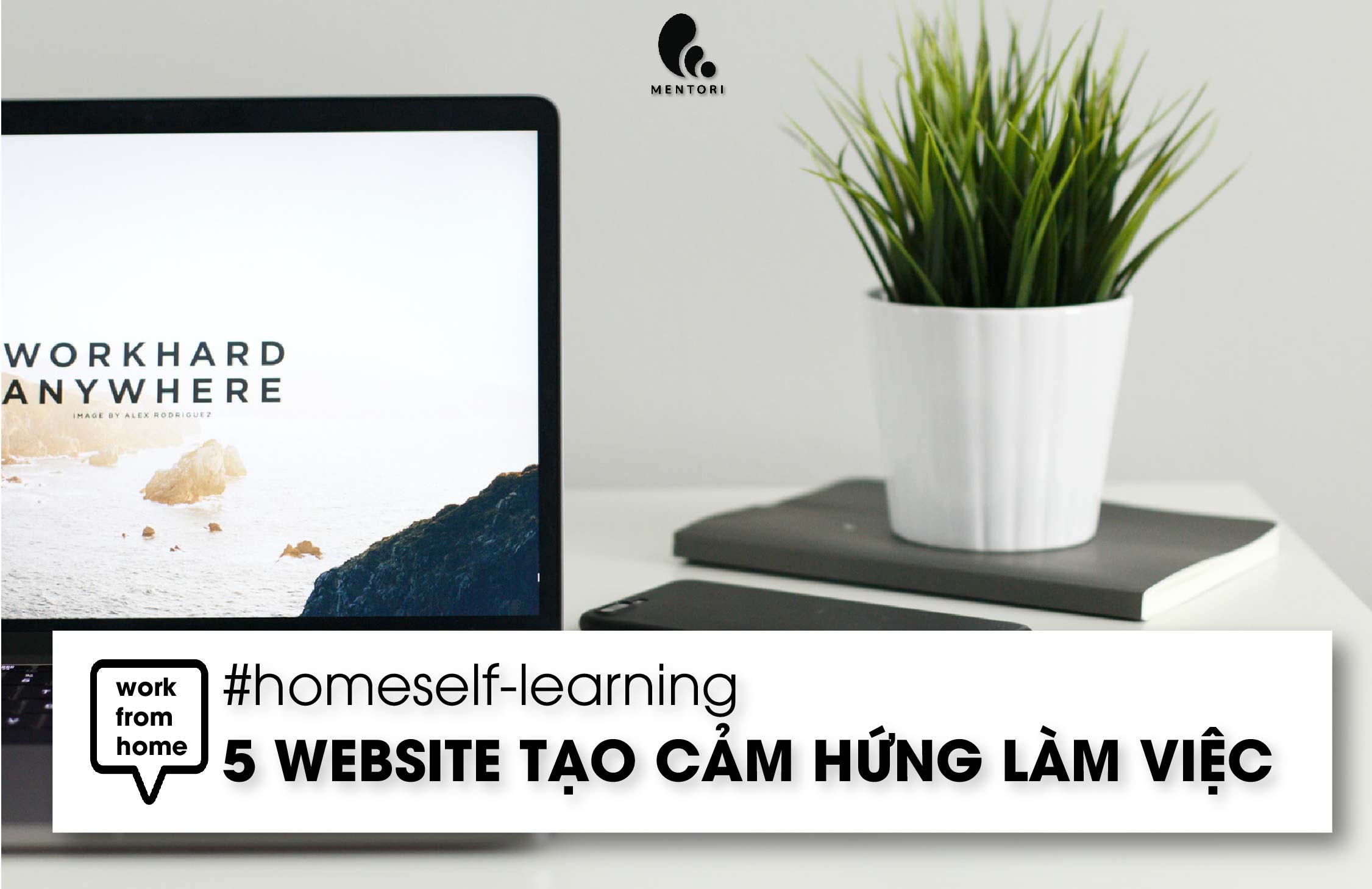 #WFH: NHỮNG WEBSITE HAY HO TẠO CẢM HỨNG LÀM VIỆC TRONG MÙA NGHỈ DỊCH